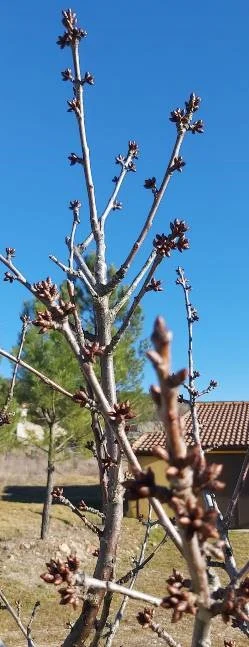 A la luz del sol 2