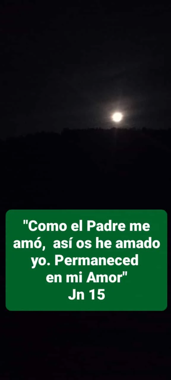 Si amais solo a los que os aman