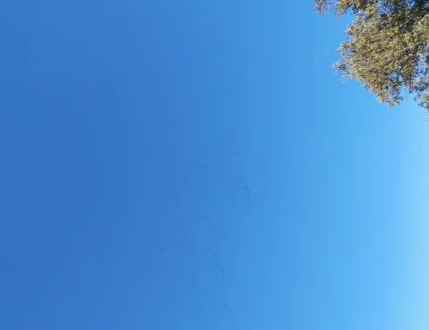 Todo sirve para el bien