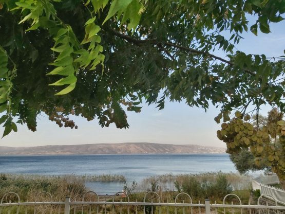 V Domingo Tiempo Ordinario 2022 scaled