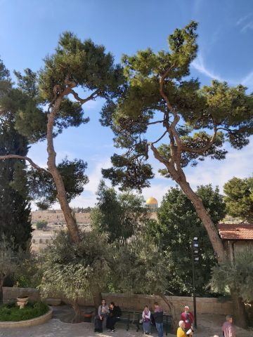 II Miercoles Cuaresma 2022 scaled