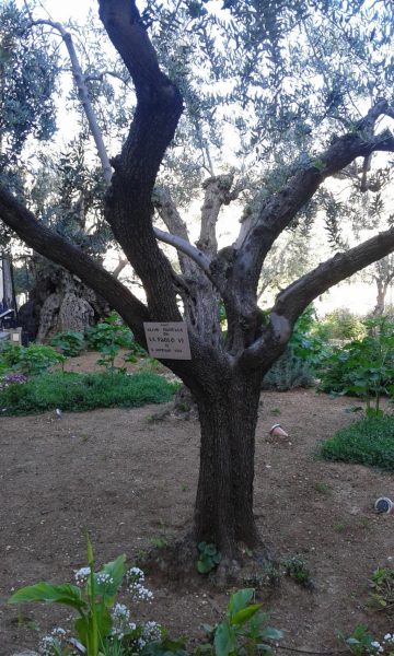 Domingo Ramos 2022 scaled