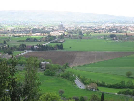 V Martes Pascua2022 scaled