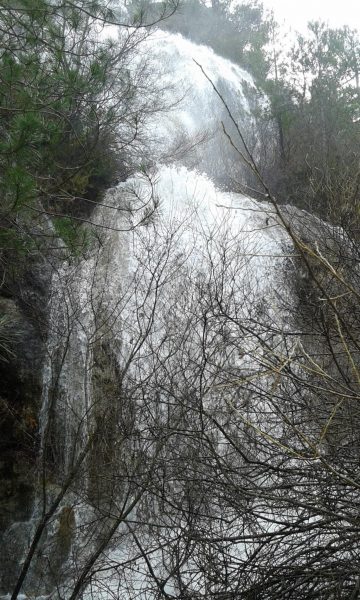 VII Jueves Pascua 2022 Don Conocimiento scaled