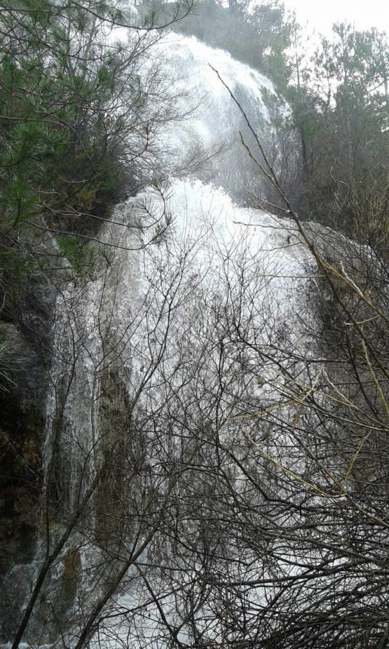 VII Jueves Pascua 2022 Don Conocimiento scaled