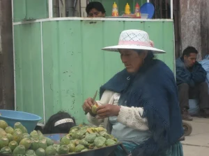 XXVI Domingo Tiempo Ordinario