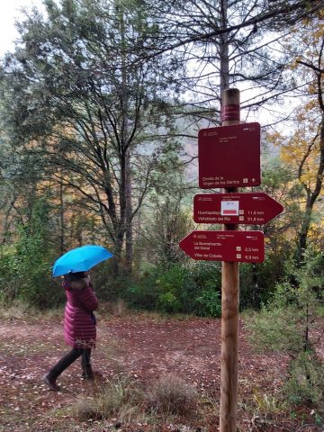 Primer Domingo de Adviento2022