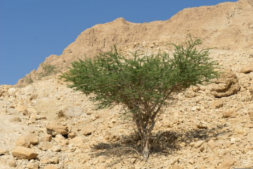 III Lunes Adviento la retama 2022