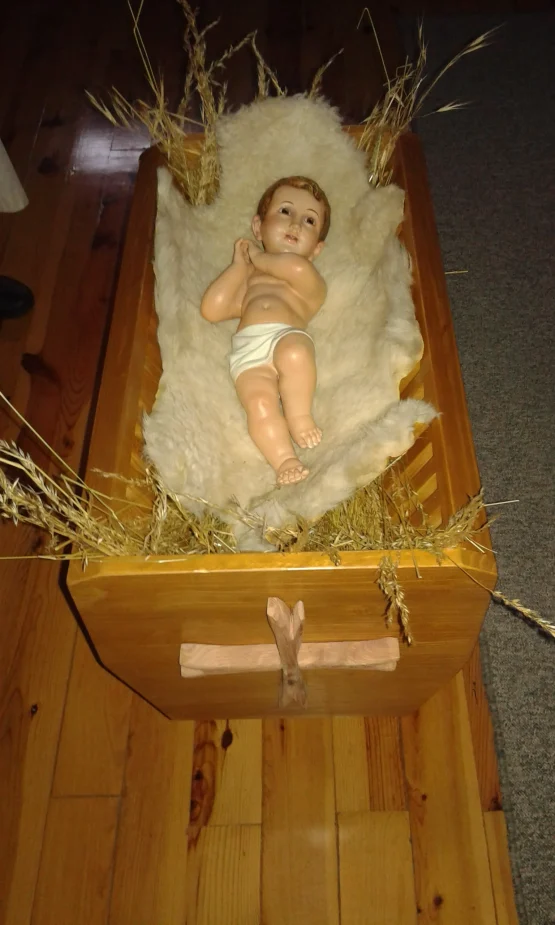 Pascua de Navidad 2022