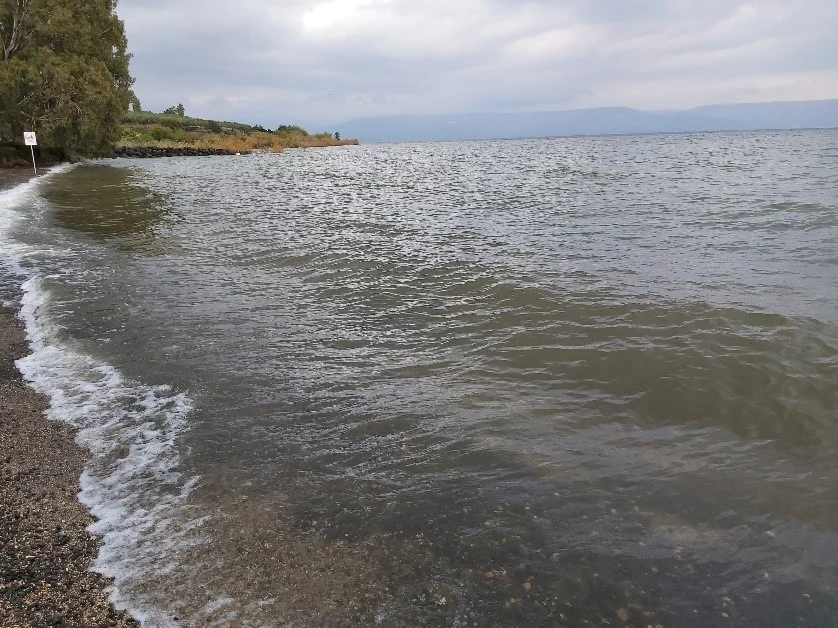 III Domingo Tiempo Ordinario 2023