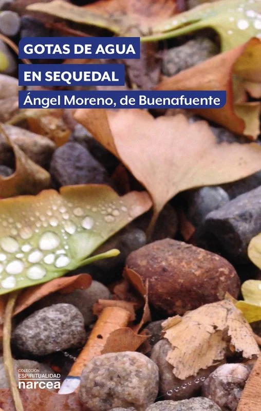 gotas de agua en sequedal e1676308277438