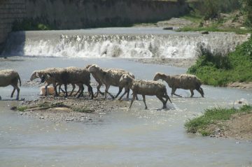 II Martes Cuaresma 2023 scaled