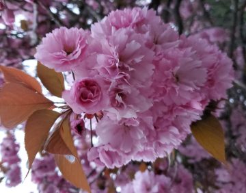 Jueves Pascua Florida 2023 scaled