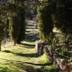Paseo monte