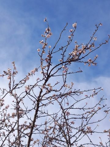 Sabado Pascua Florida 2023