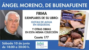 Feria Libro
