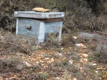 XIII Domingo Tiempo Ordinario 2023 scaled