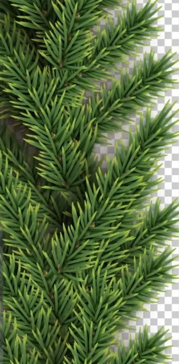 Navidad 2023