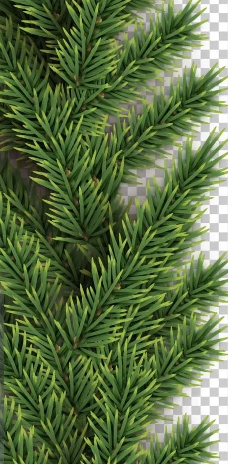 Navidad 2023