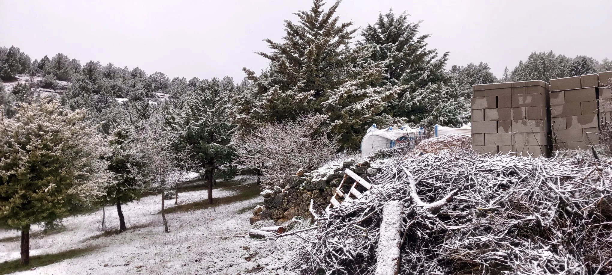 Es noticia la nieve y la belleza