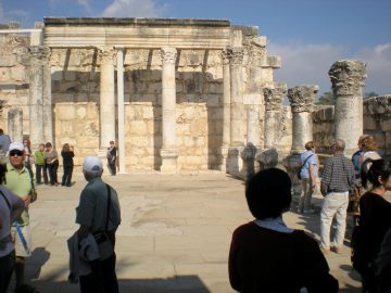 IV Domingo Tiempo Ordinario (2024)