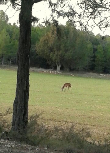 V Miercoles Cuaresma 2024