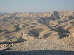 Ano preparacion Jubileo 2025 El desierto