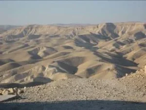 Ano preparacion Jubileo 2025 El desierto