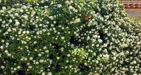 Ano preparacion JubileoAlabad