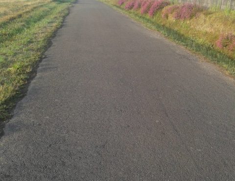 Ano preparacion JubileoAsombro