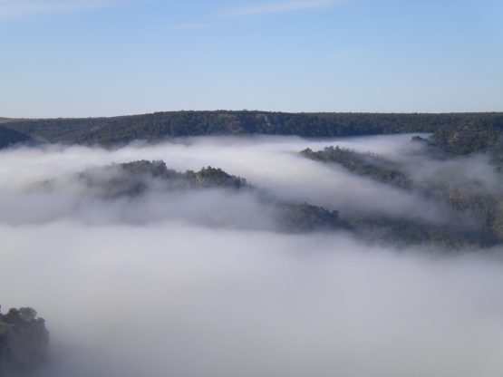 Ano preparacion Jubileo 2025Brisa