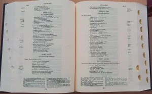 Ano preparacion JubileoLectura
