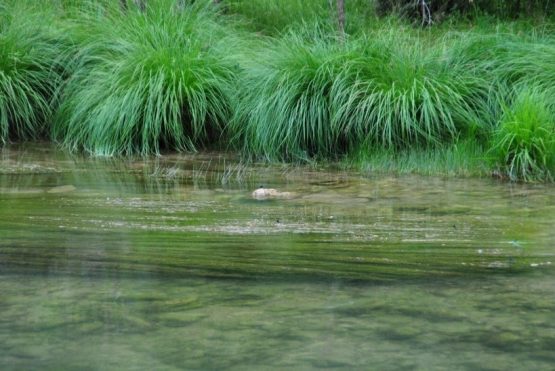 XVI Domingo del Tiempo Ordinario2024