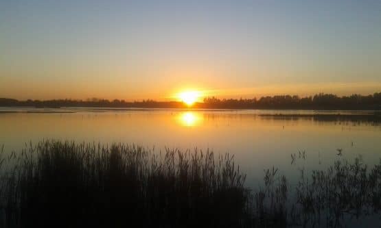 Ano preparacion Jubileo 2025Presencia de Dios