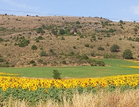 Ano preparacion Jubileo 2025La naturaleza