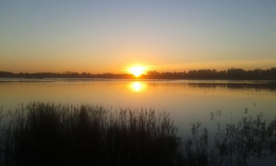 XXV Domingo Tiempo Ordinario 2024