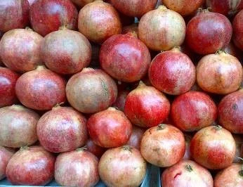 Ano preparacion Jubileo 2025RosarioLas bodas de Cana