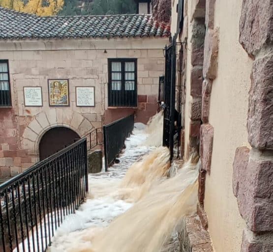 XXXII Domingo del Tiempo Ordinario 2024