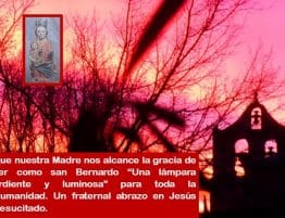 San Bernardo 2025