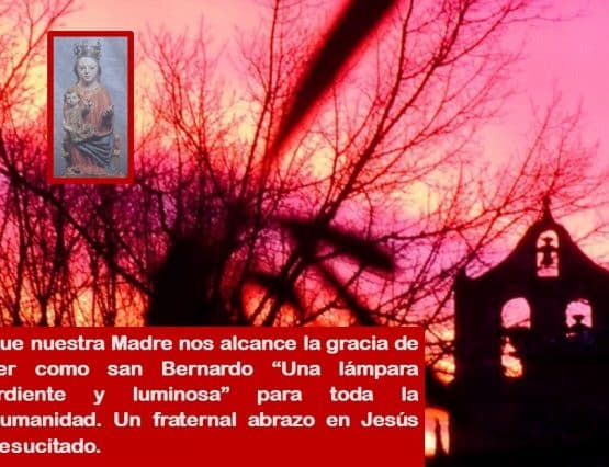 San Bernardo 2025