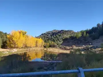 XXX Domingo Tiempo Ordinario 2025