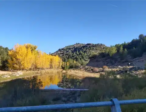 XXX Domingo Tiempo Ordinario 2025