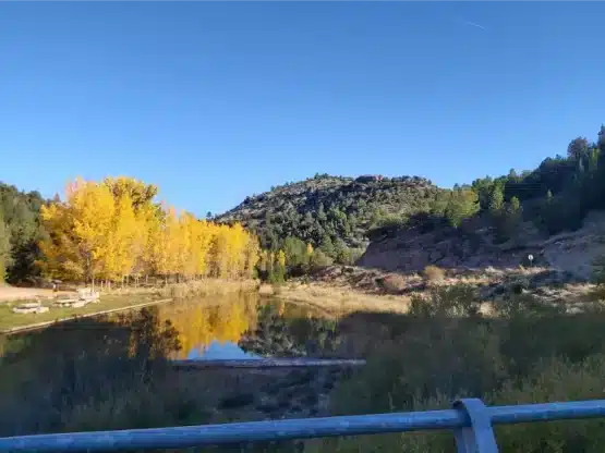 XXX Domingo Tiempo Ordinario 2025