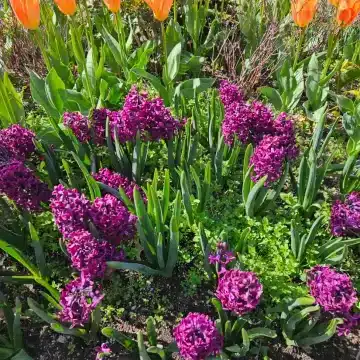 conmemoracion de todos los difuntos 2025