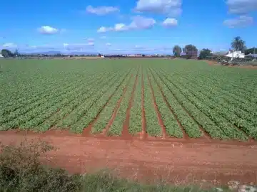 tiempo de adviento 2025