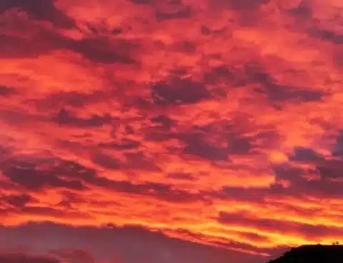 xxxiii domingo del tiempo ordinario 2025