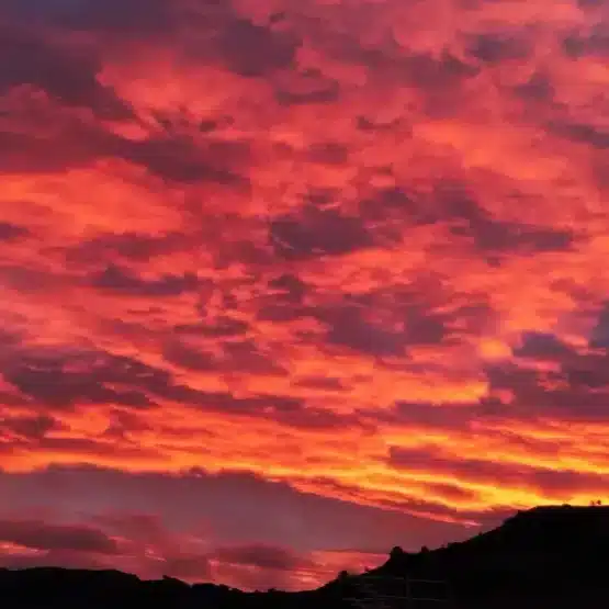 xxxiii domingo del tiempo ordinario 2025