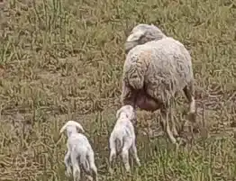 i sabado de adviento 2025