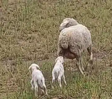 i sabado de adviento 2025