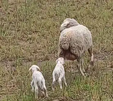 i sabado de adviento 2025